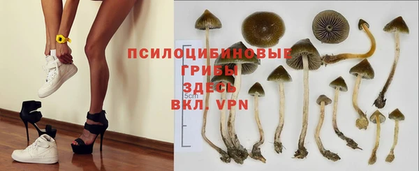 apvp Верея