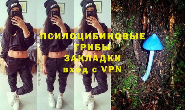 apvp Верея