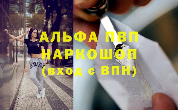 apvp Верея